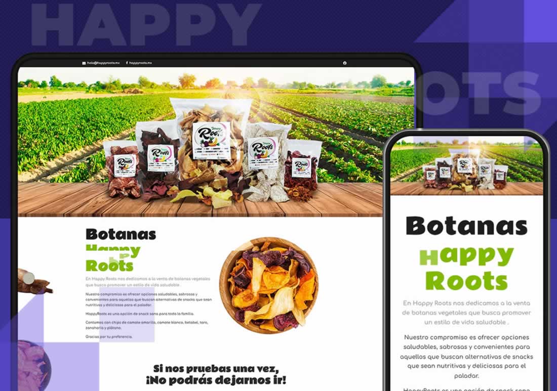 Ejemplo de una página web profesional para un negocio